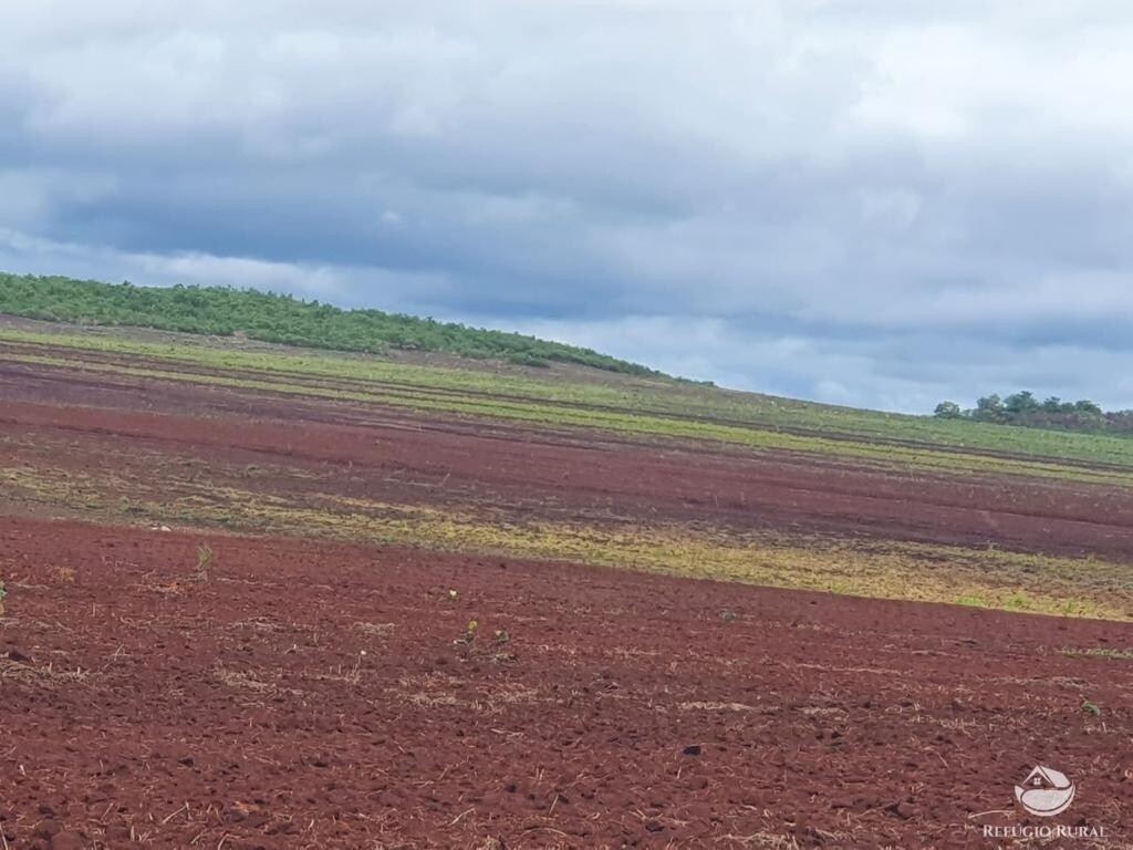 Fazenda à venda com 2 quartos, 20000000m² - Foto 6