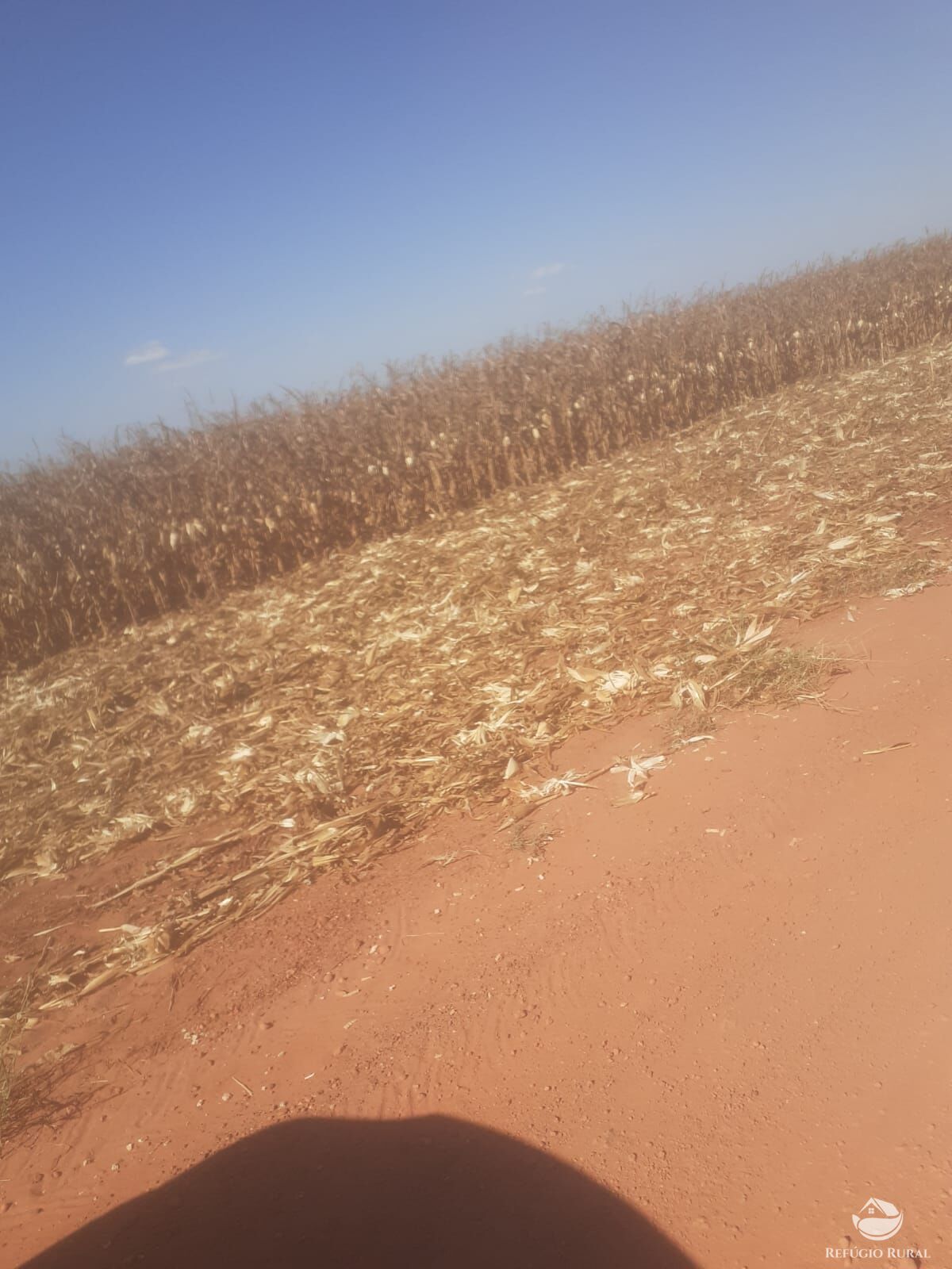 Fazenda para alugar com 3 quartos, 15000000m² - Foto 1