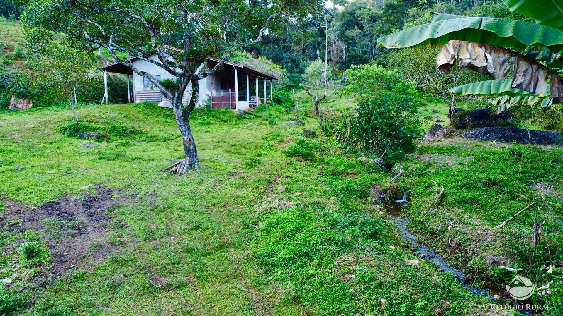 Sítio à venda com 1 quarto, 871200m² - Foto 8