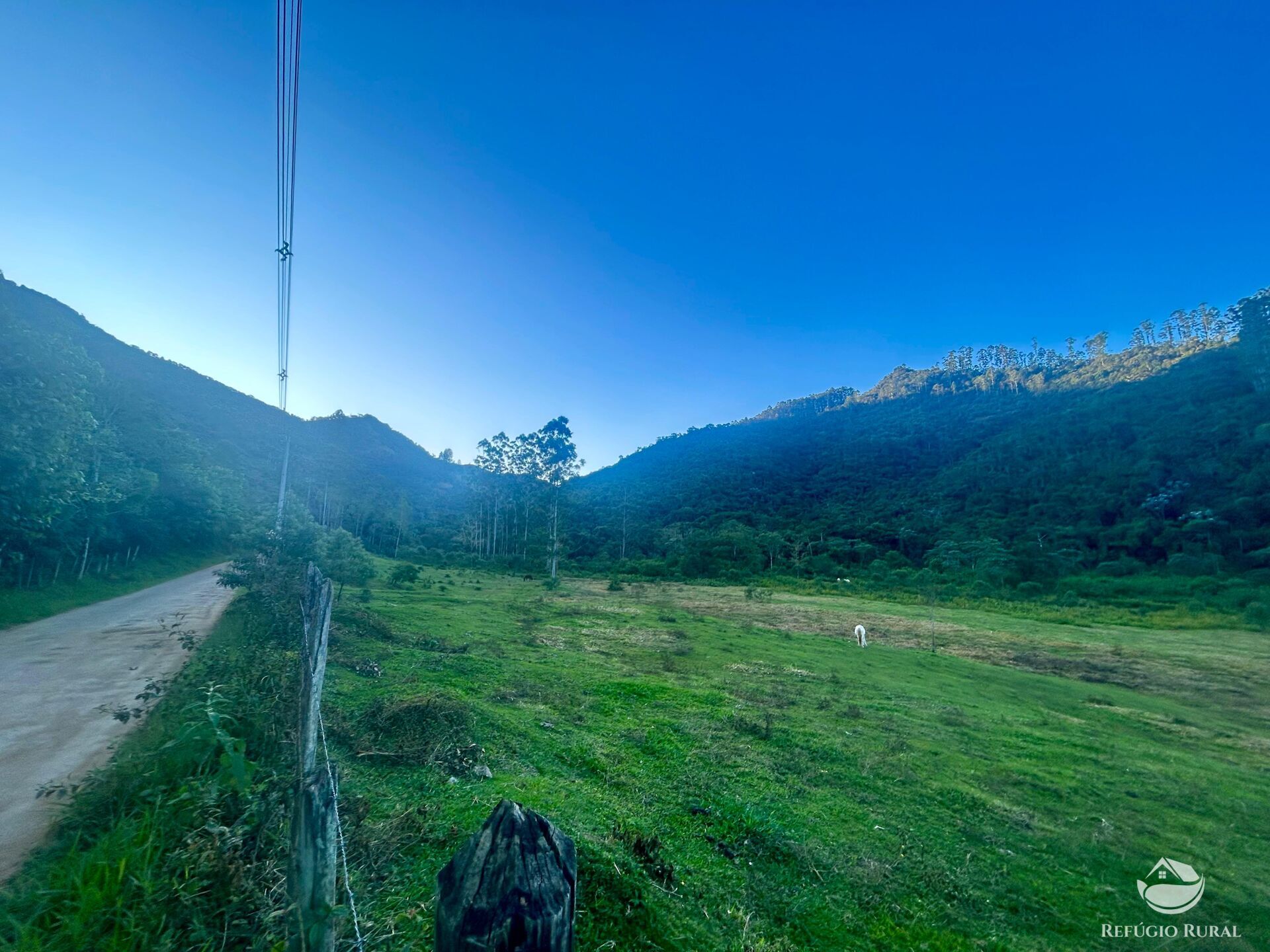 Sítio à venda com 1 quarto, 871200m² - Foto 19