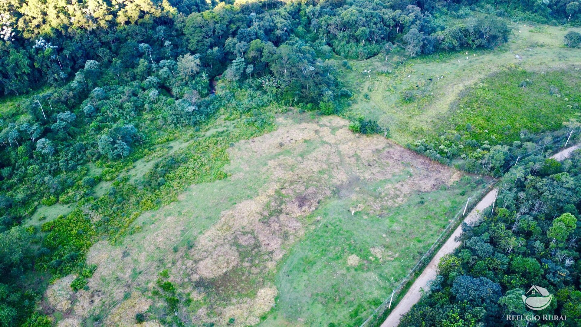 Sítio à venda com 1 quarto, 871200m² - Foto 14