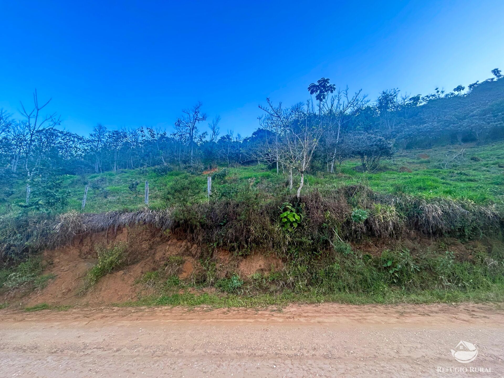 Sítio à venda com 1 quarto, 871200m² - Foto 11