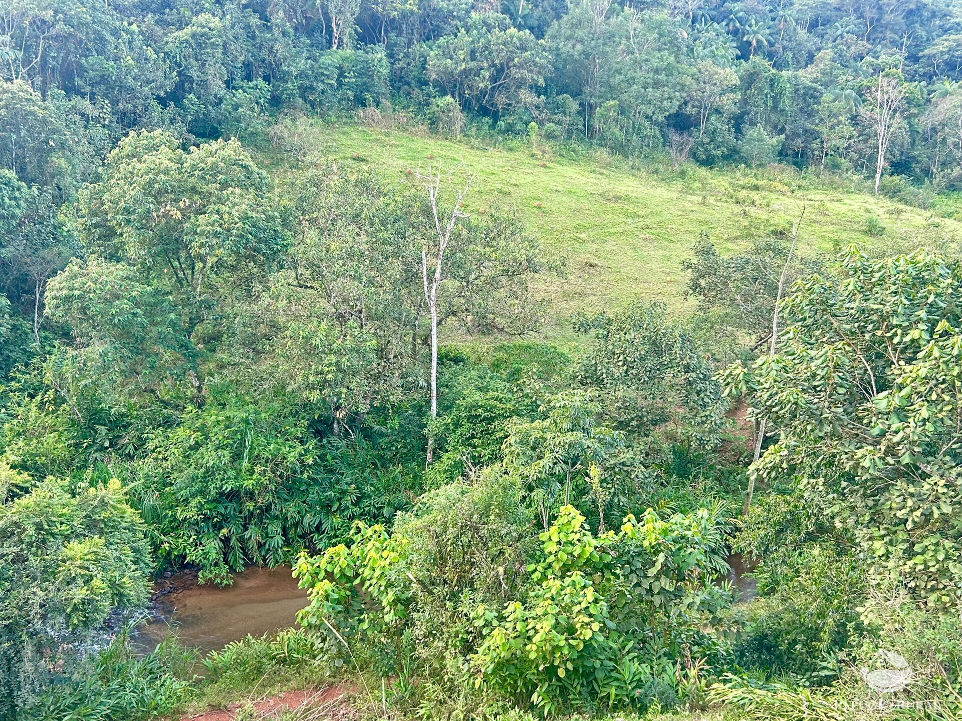 Sítio à venda com 1 quarto, 871200m² - Foto 24
