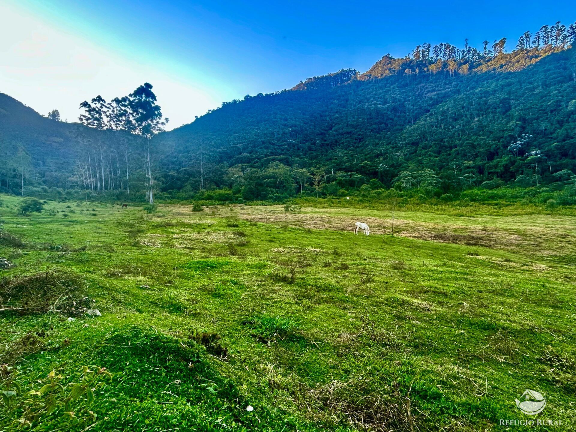 Sítio à venda com 1 quarto, 871200m² - Foto 2