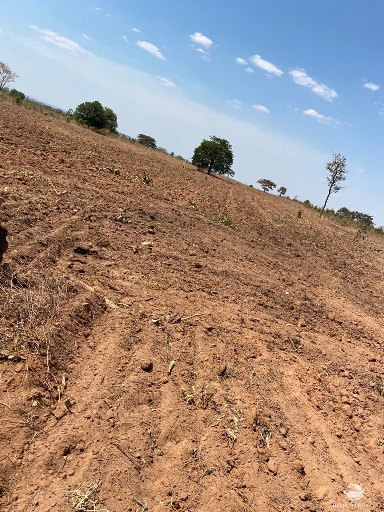 Fazenda à venda com 3 quartos, 46600000m² - Foto 6