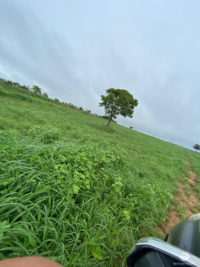 Fazenda à venda com 3 quartos, 46600000m² - Foto 3