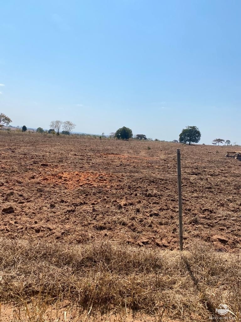 Fazenda à venda com 3 quartos, 46600000m² - Foto 8