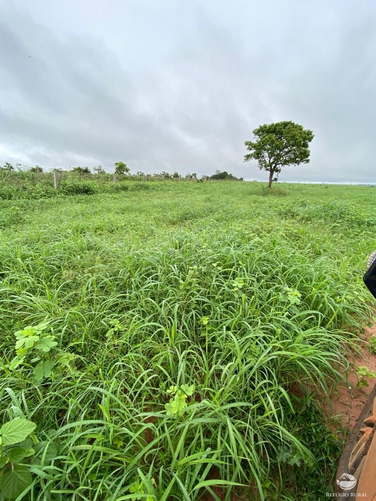 Fazenda à venda com 3 quartos, 46600000m² - Foto 9