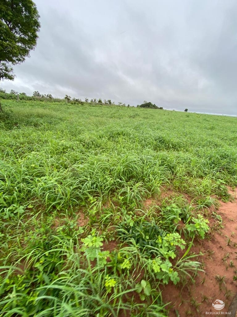 Fazenda à venda com 3 quartos, 46600000m² - Foto 11