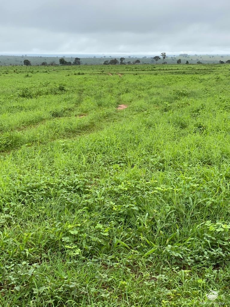 Fazenda à venda com 3 quartos, 46600000m² - Foto 5