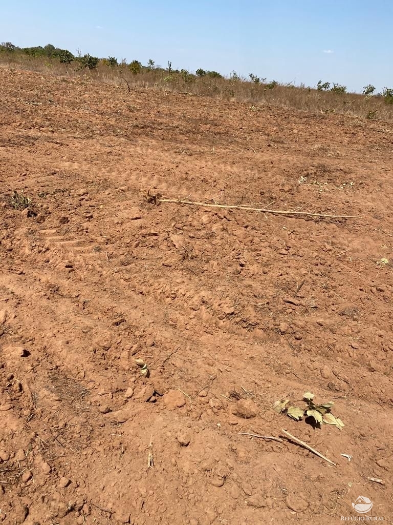 Fazenda à venda com 3 quartos, 46600000m² - Foto 7