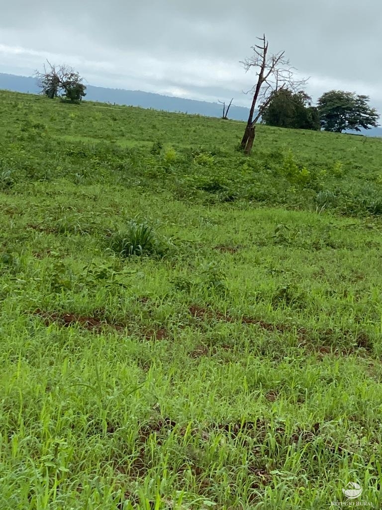 Fazenda à venda com 3 quartos, 46600000m² - Foto 12