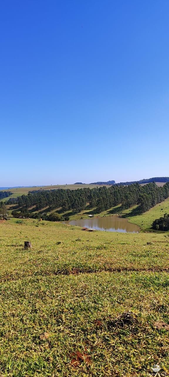 Fazenda à venda com 5 quartos, 2892000m² - Foto 10