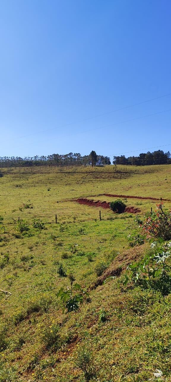 Fazenda à venda com 5 quartos, 2892000m² - Foto 26