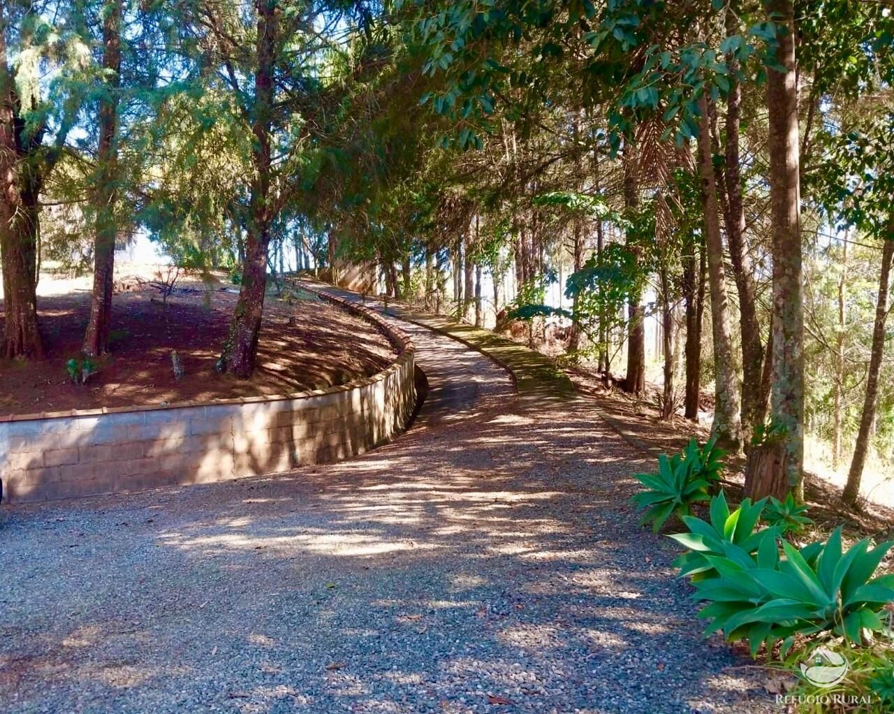Chácara à venda com 2 quartos, 22000m² - Foto 12