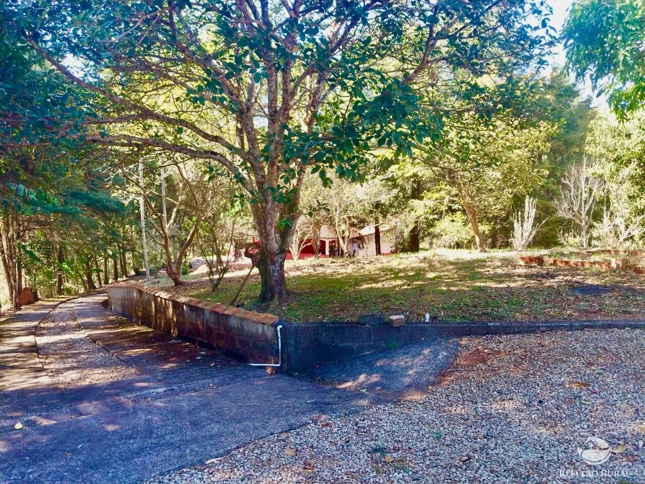 Chácara à venda com 2 quartos, 22000m² - Foto 14