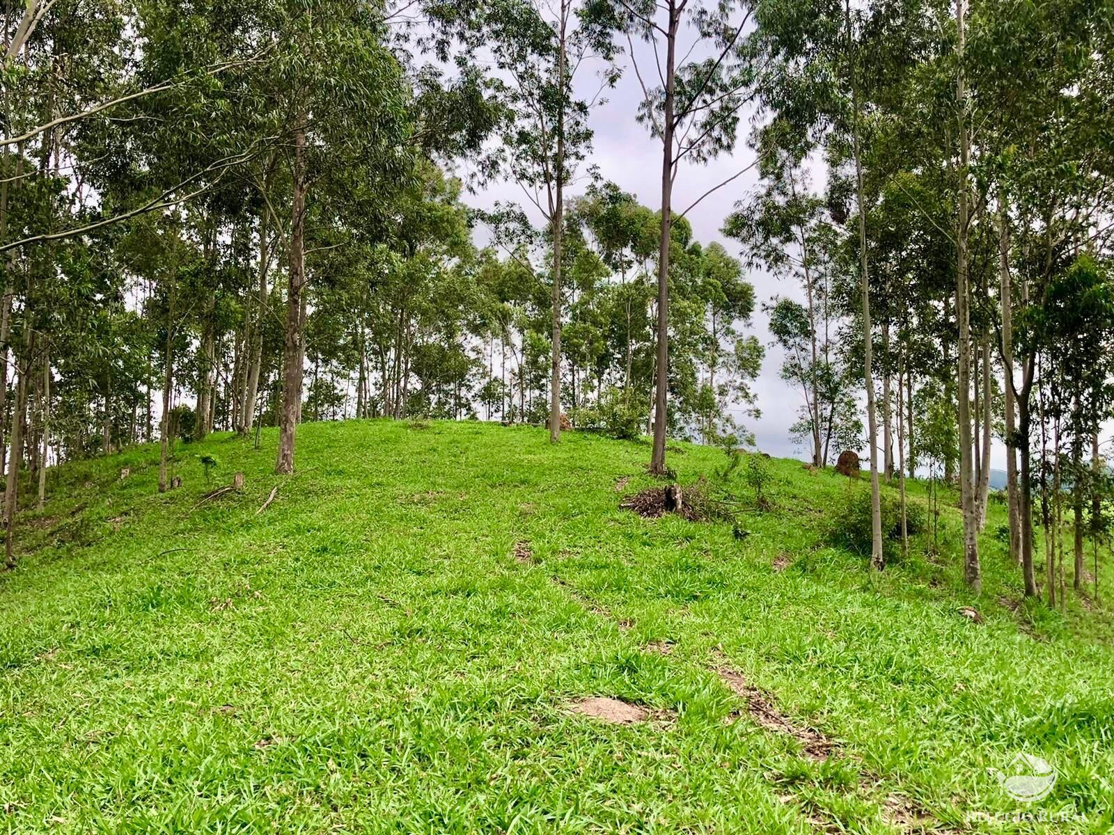 Fazenda à venda com 11 quartos, 1718200m² - Foto 30