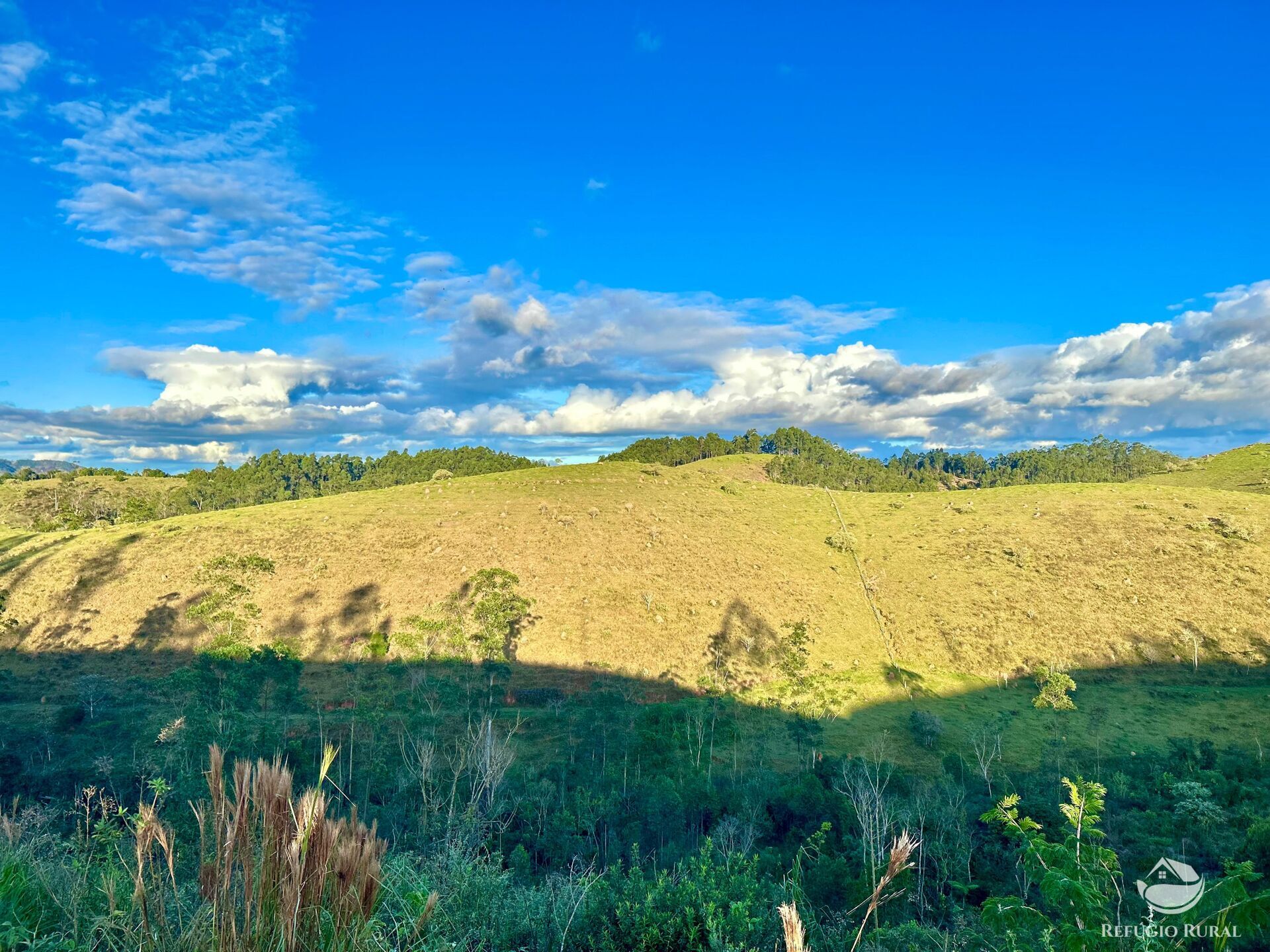 Fazenda à venda com 11 quartos, 1718200m² - Foto 17
