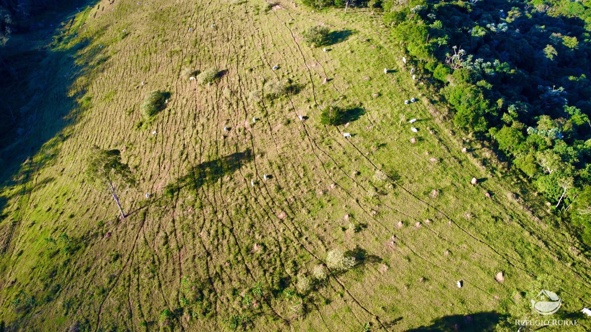 Fazenda à venda com 11 quartos, 1718200m² - Foto 10