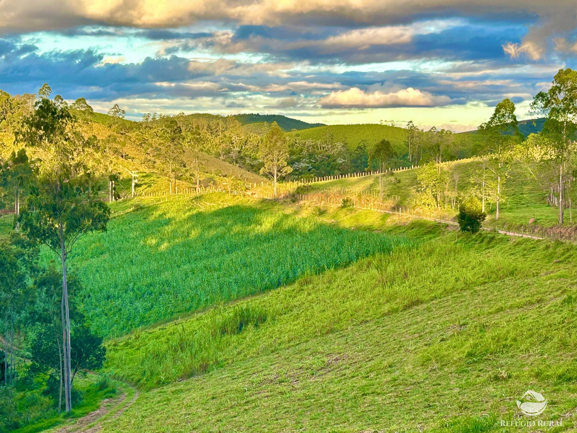 Fazenda à venda com 11 quartos, 1718200m² - Foto 20