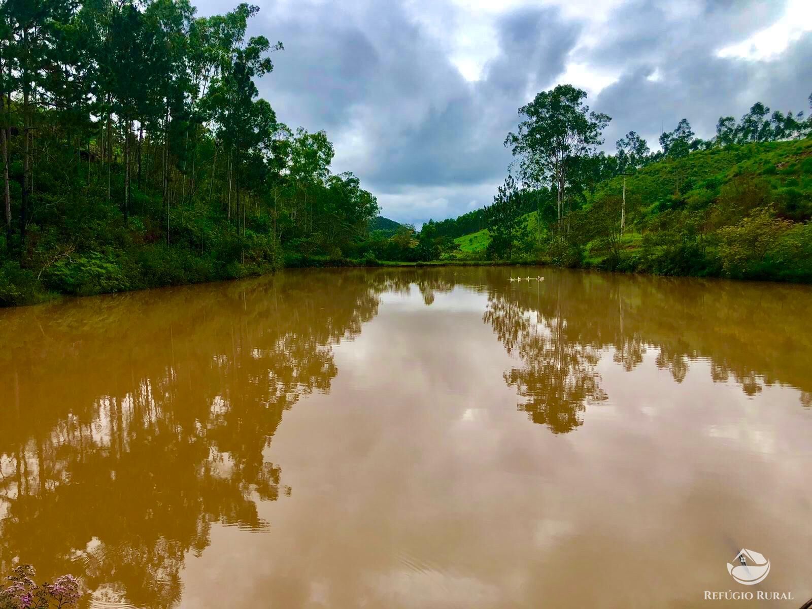 Fazenda à venda com 11 quartos, 1718200m² - Foto 27