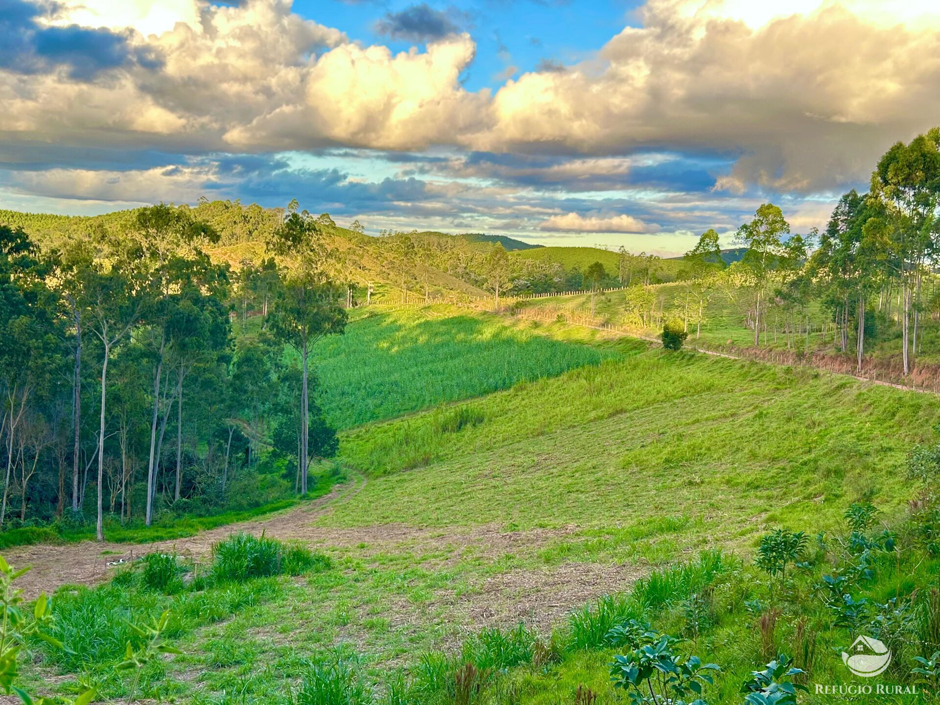 Fazenda à venda com 11 quartos, 1718200m² - Foto 21