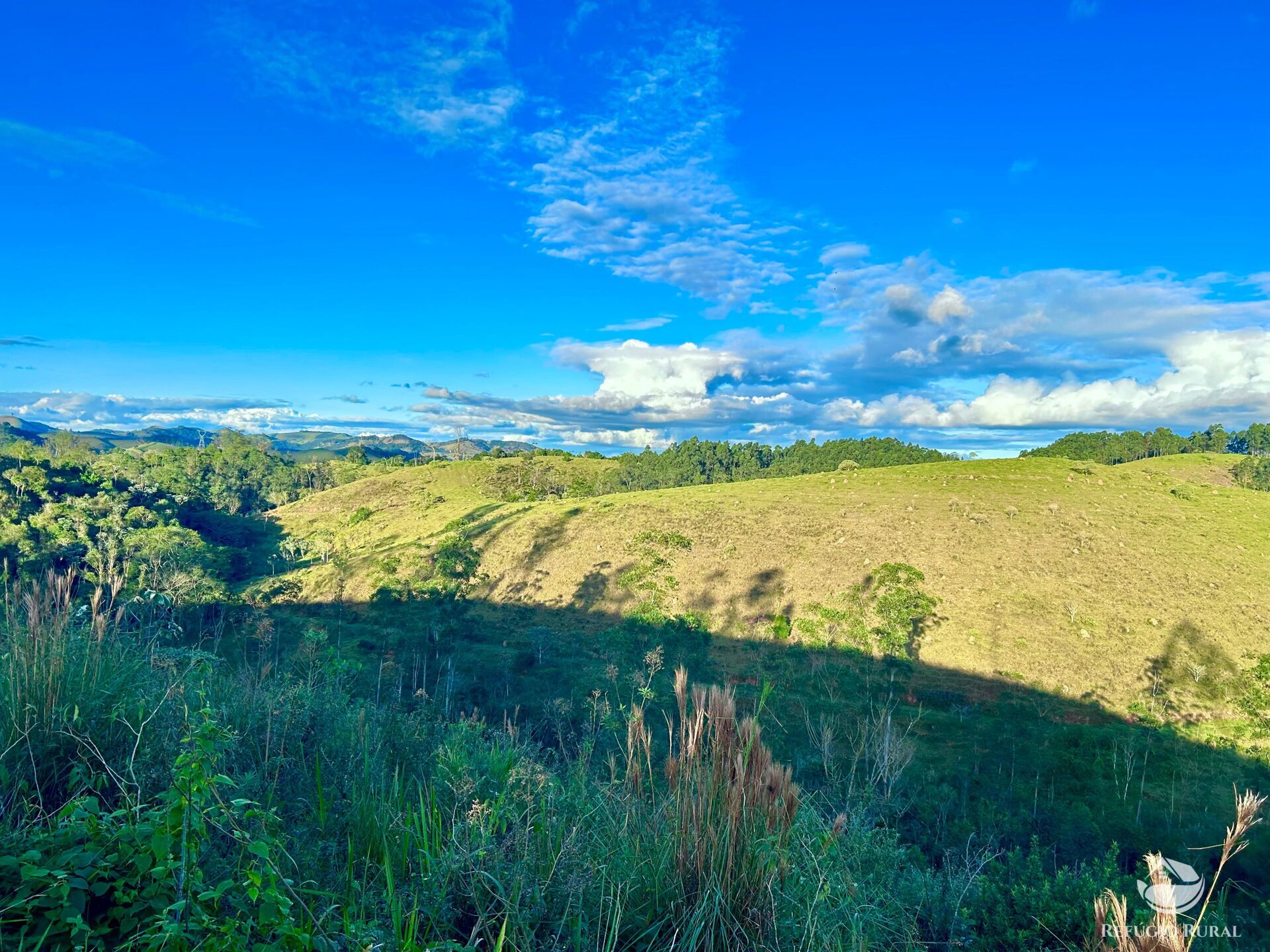 Fazenda à venda com 11 quartos, 1718200m² - Foto 16