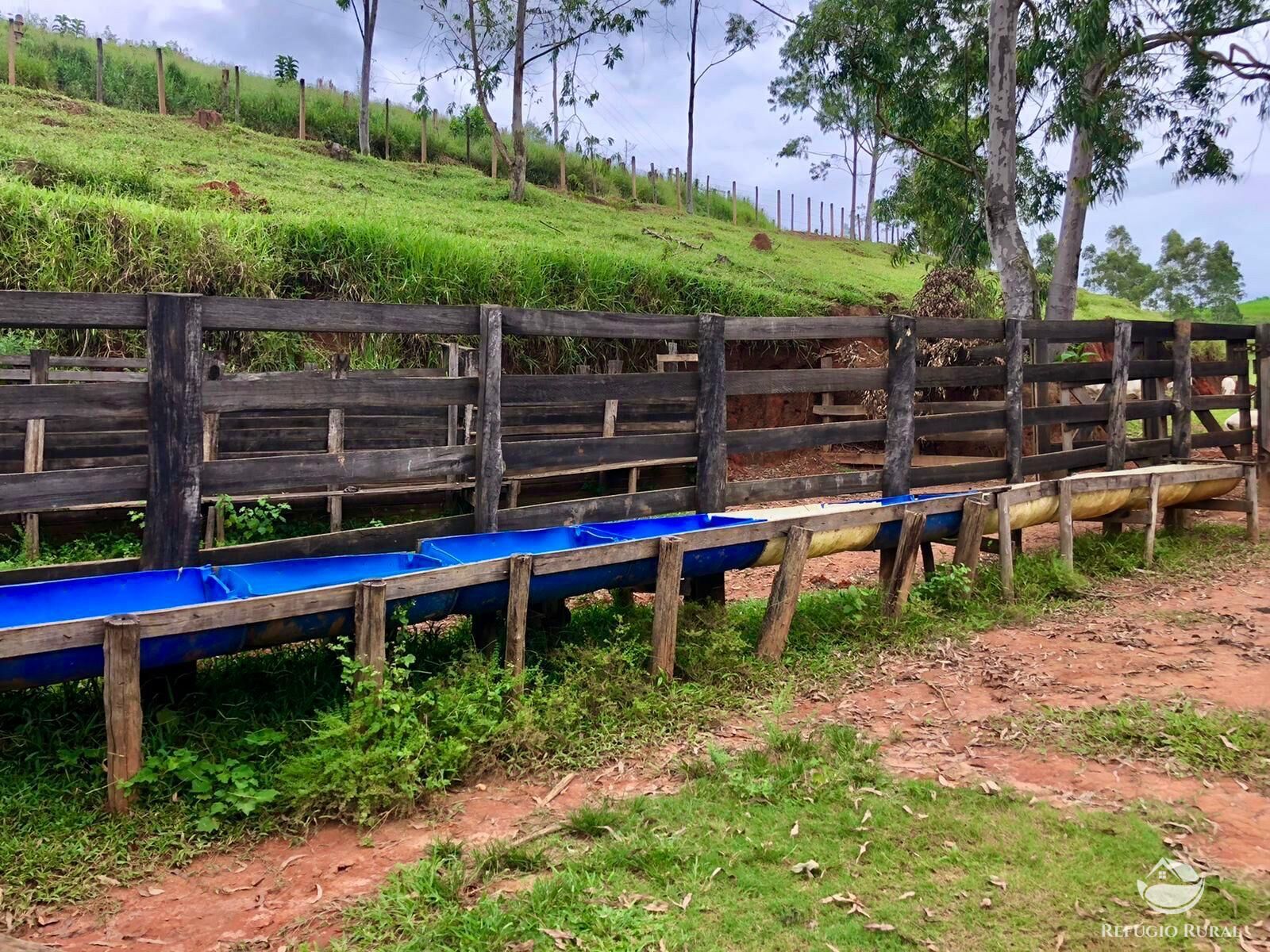 Fazenda à venda com 11 quartos, 1718200m² - Foto 39