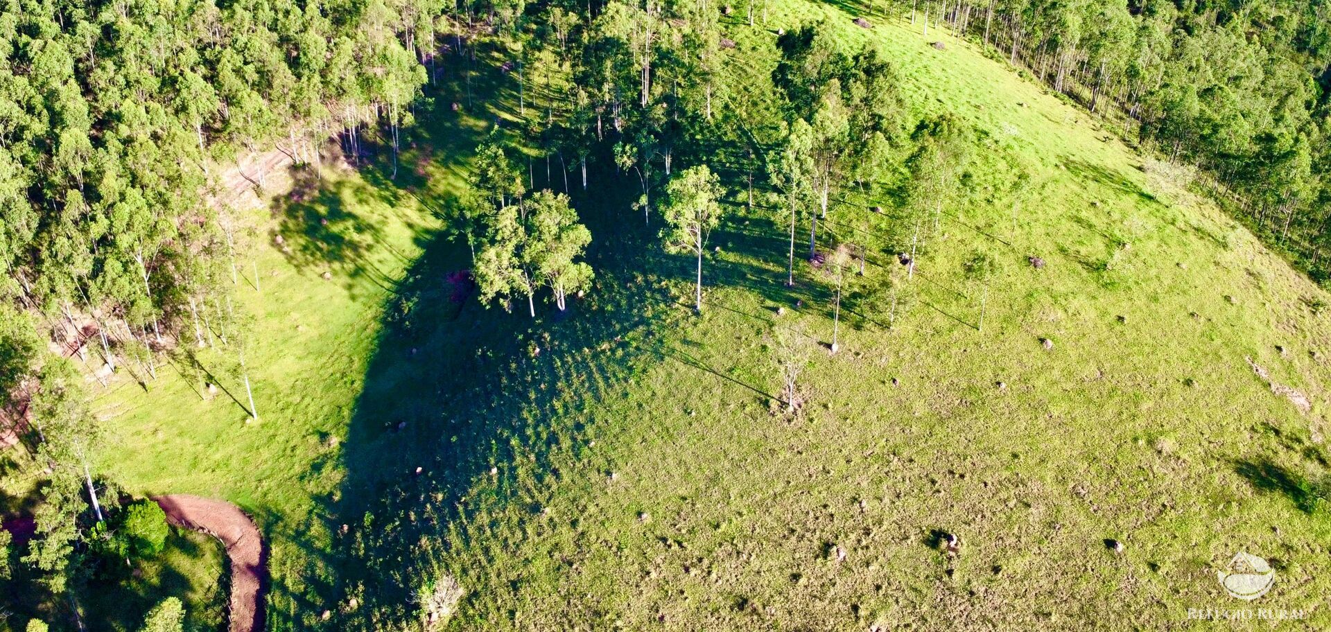 Fazenda à venda com 11 quartos, 1718200m² - Foto 12