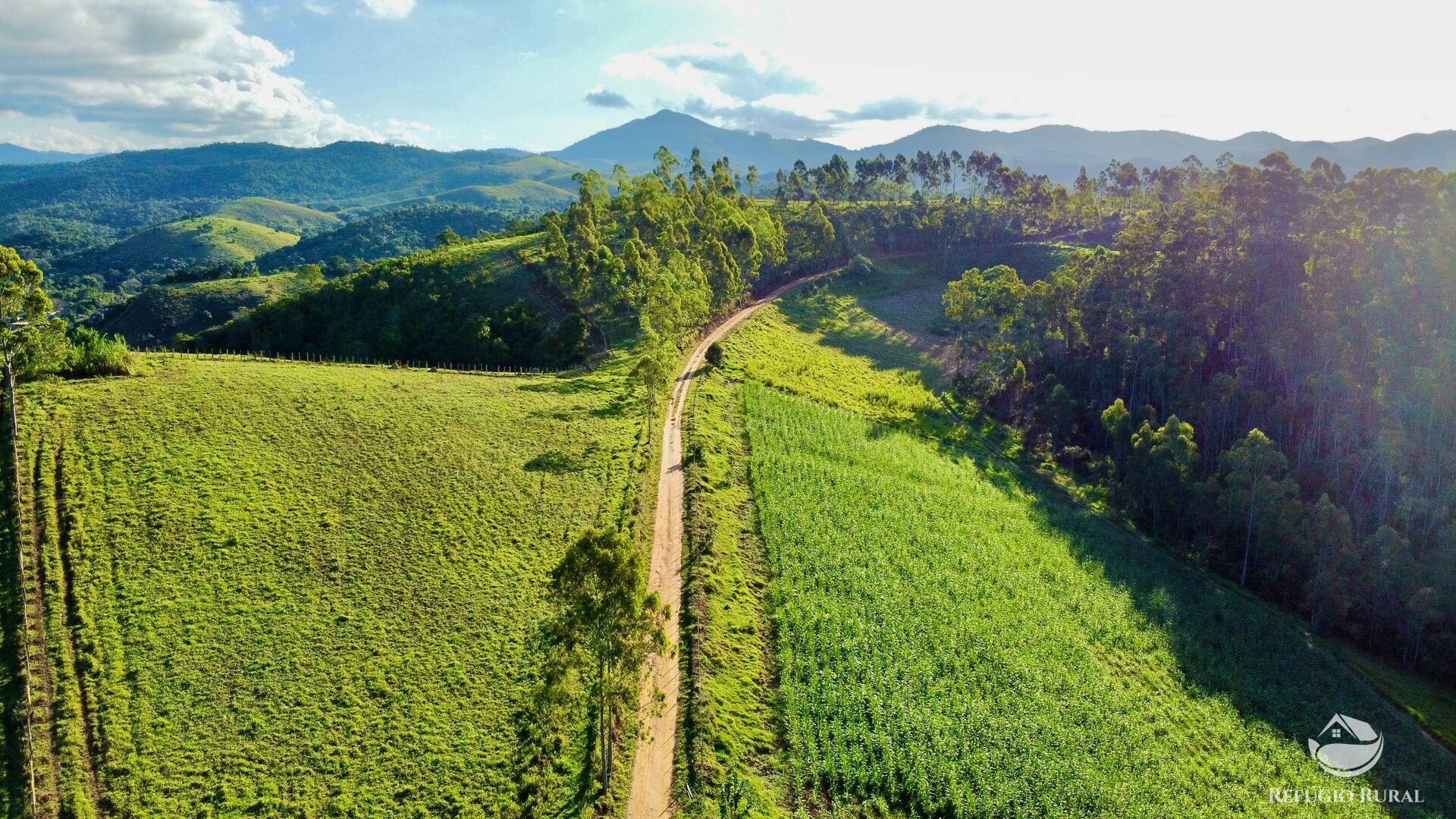 Fazenda à venda com 11 quartos, 1718200m² - Foto 14