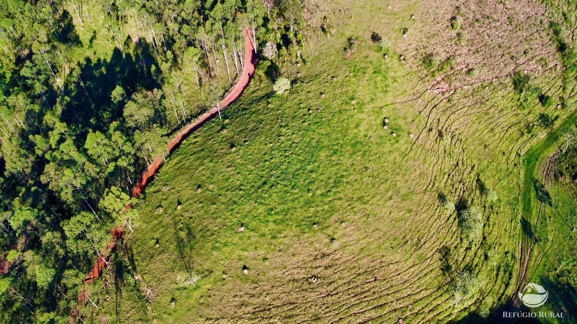 Fazenda à venda com 11 quartos, 1718200m² - Foto 9