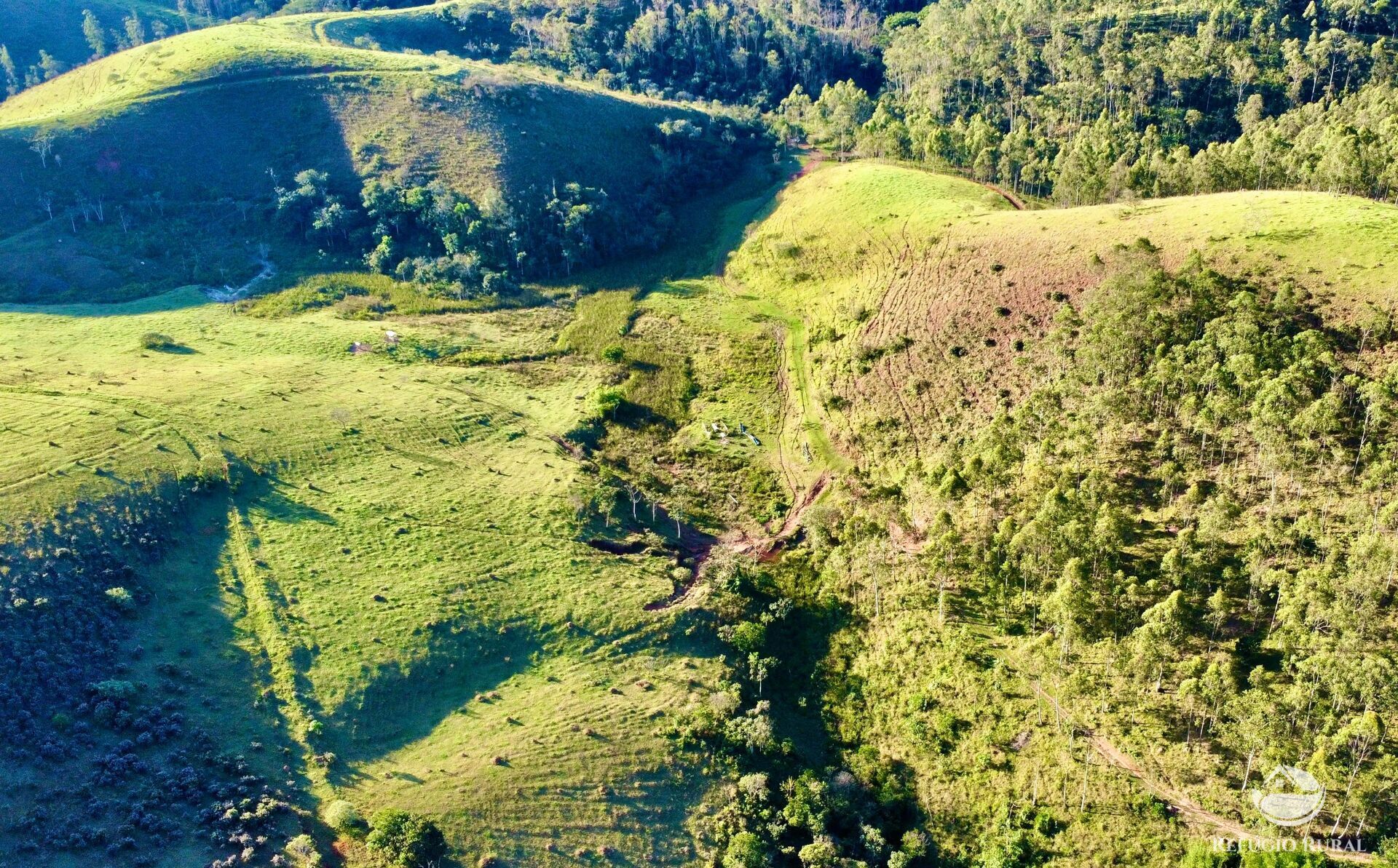Fazenda à venda com 11 quartos, 1718200m² - Foto 6