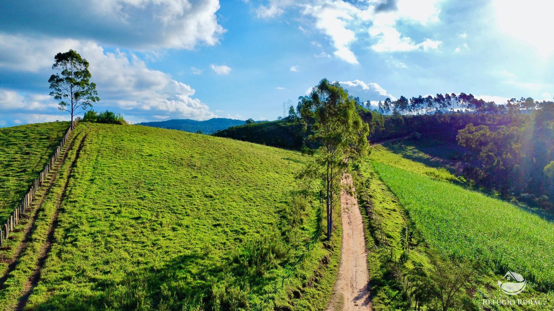 Fazenda à venda com 11 quartos, 1718200m² - Foto 5