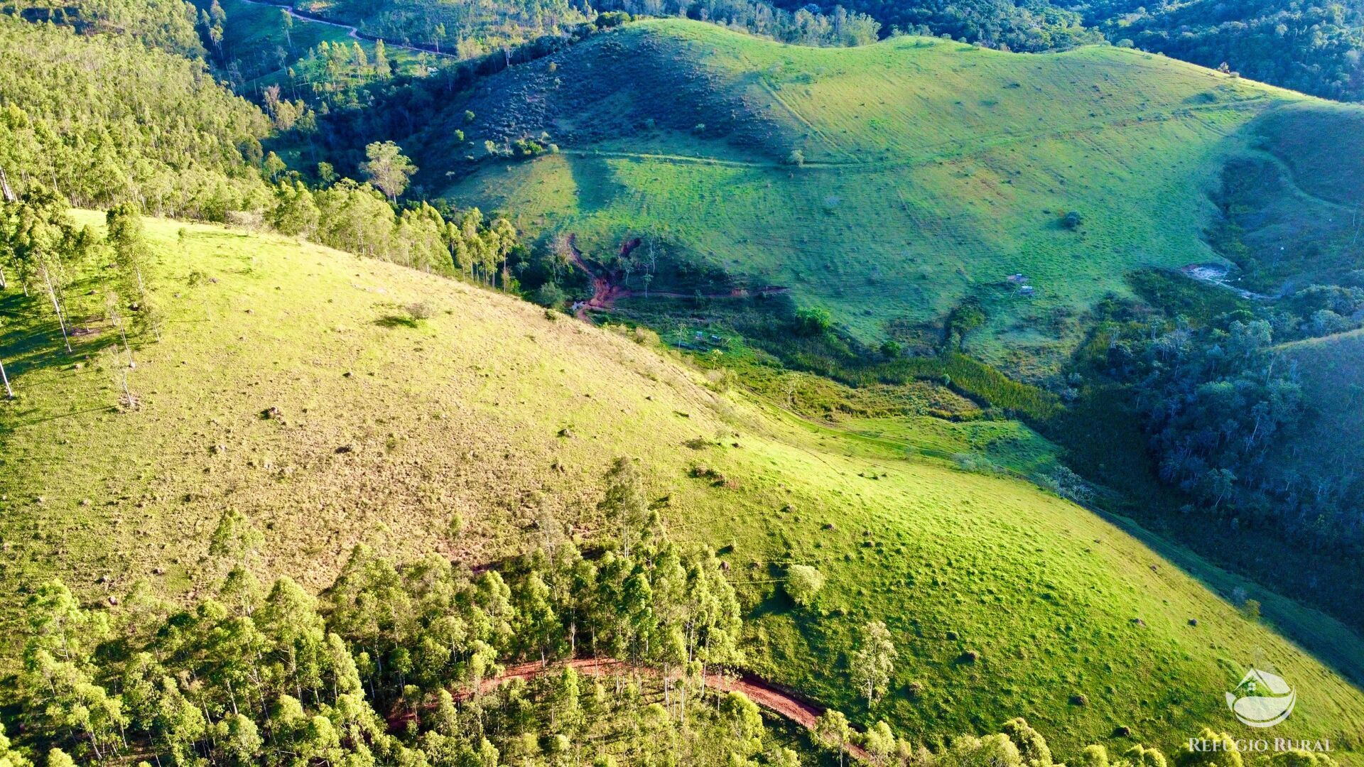 Fazenda à venda com 11 quartos, 1718200m² - Foto 11