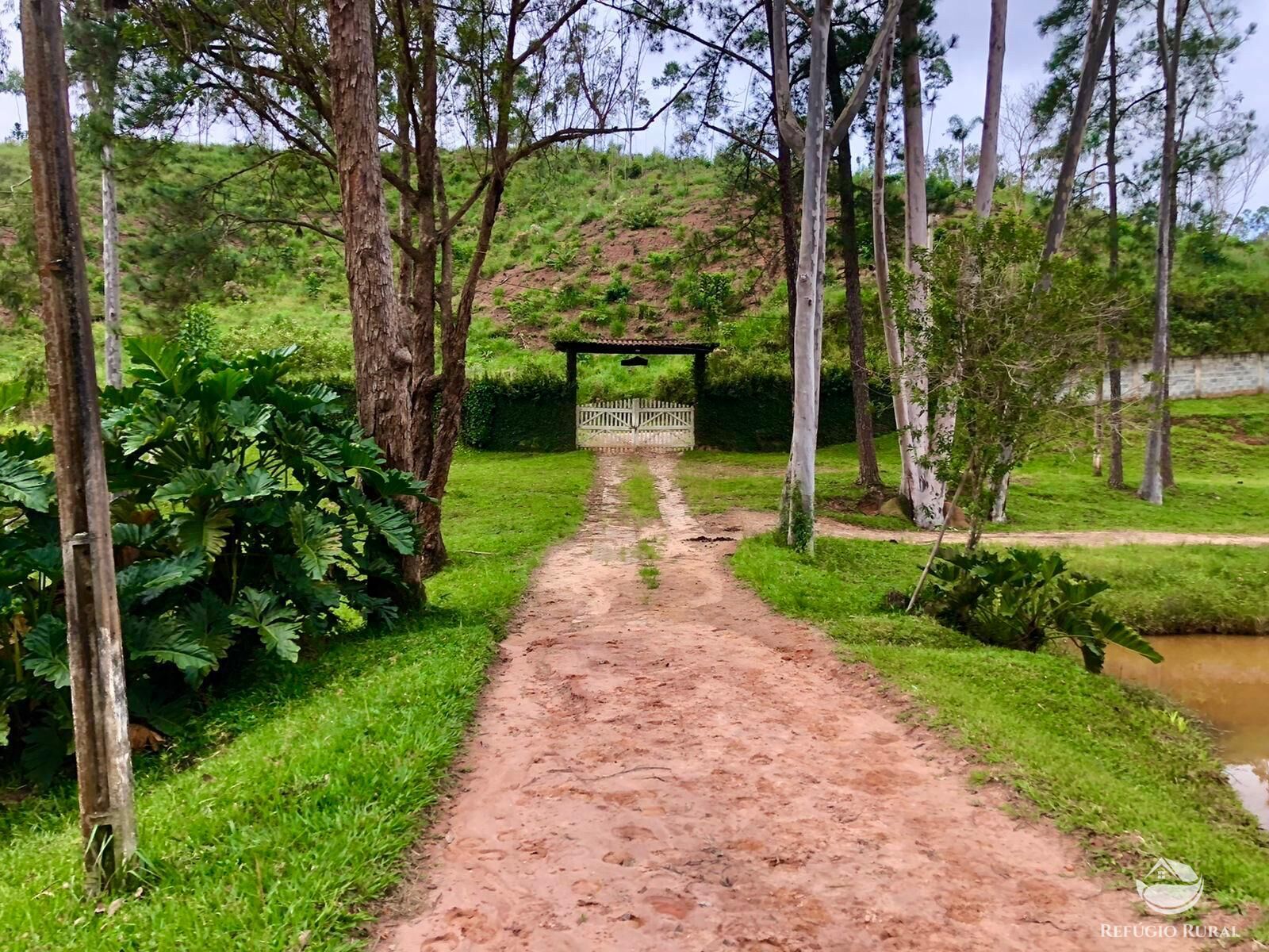Fazenda à venda com 11 quartos, 1718200m² - Foto 26
