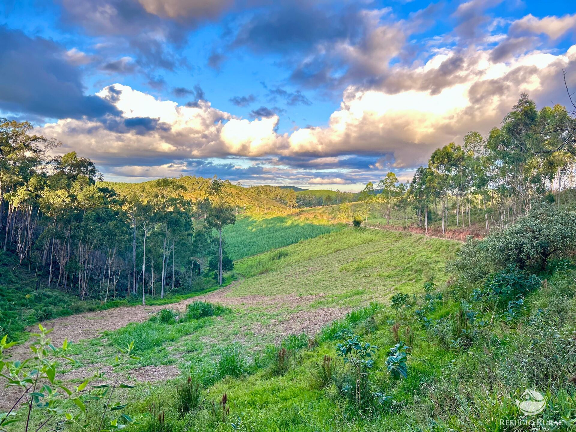 Fazenda à venda com 11 quartos, 1718200m² - Foto 19