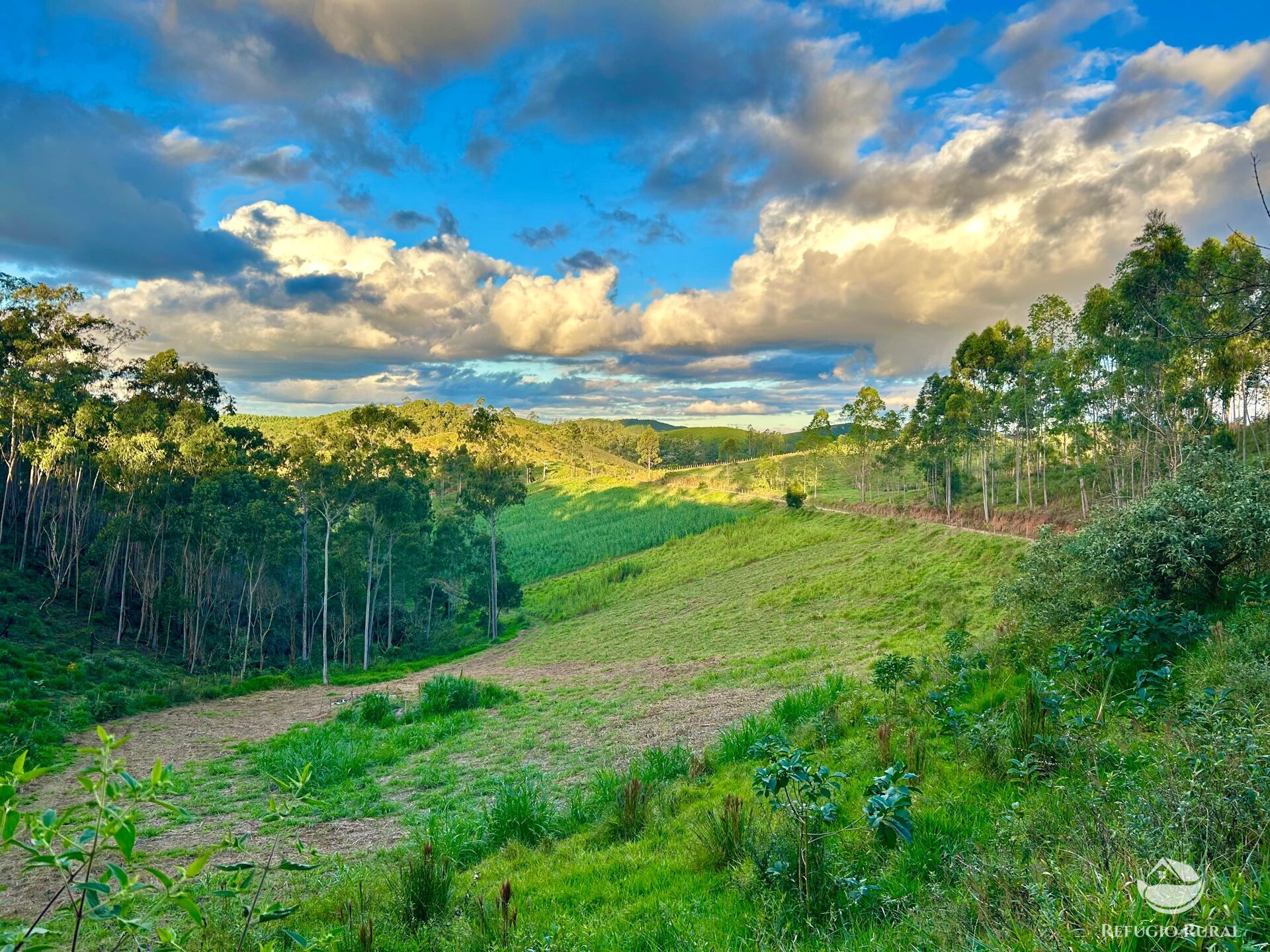 Fazenda à venda com 11 quartos, 1718200m² - Foto 18