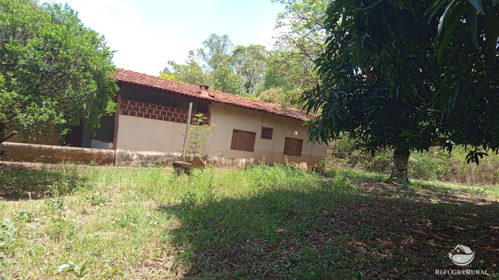 Chácara, 7 quartos, 2 hectares - Foto 6