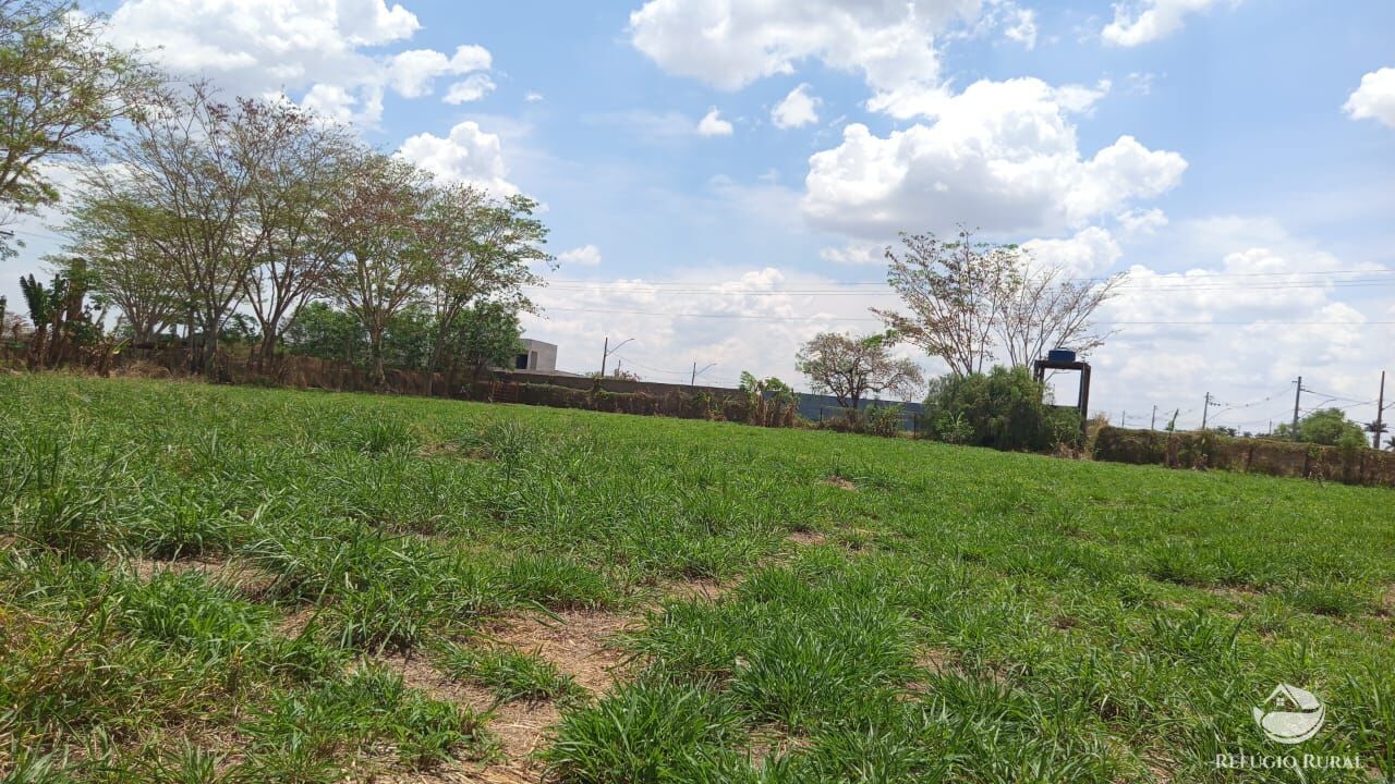 Chácara, 7 quartos, 2 hectares - Foto 17