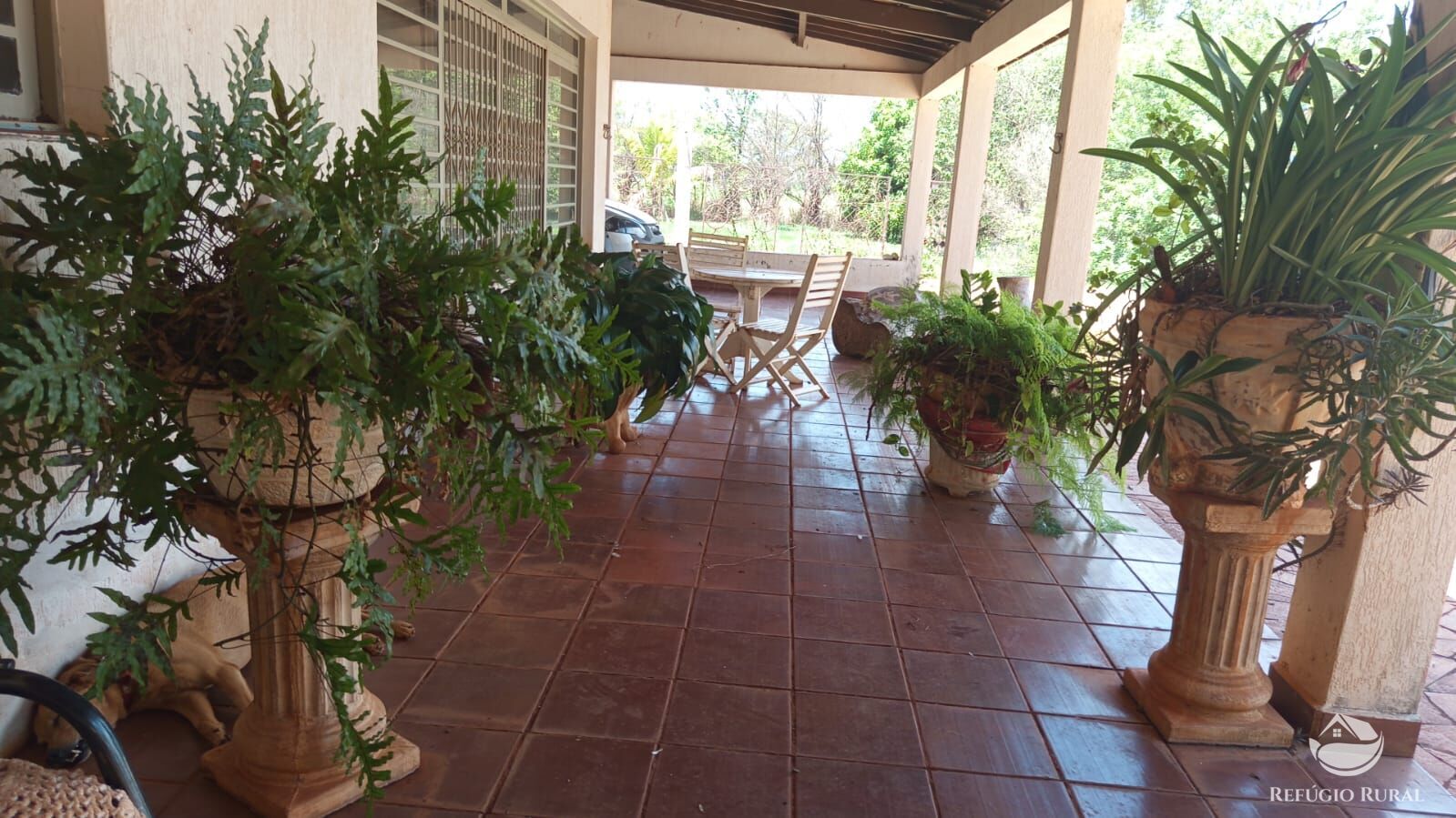 Chácara, 7 quartos, 2 hectares - Foto 14