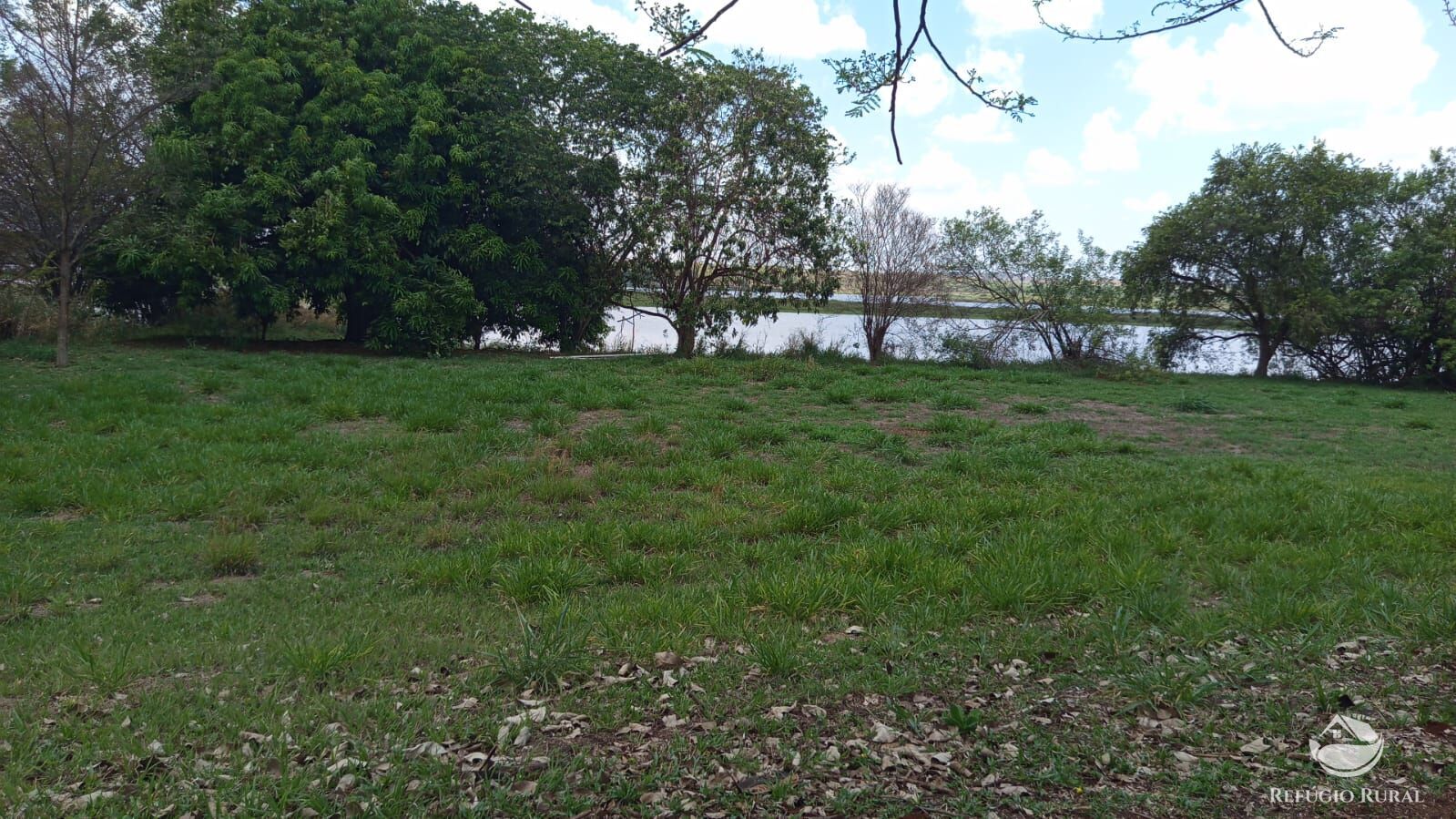 Chácara, 7 quartos, 2 hectares - Foto 4