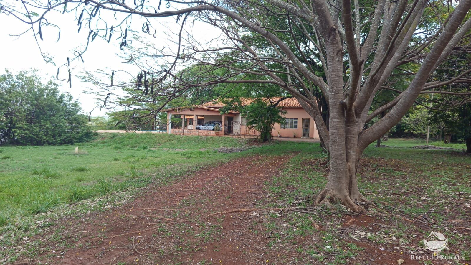 Chácara, 7 quartos, 2 hectares - Foto 3