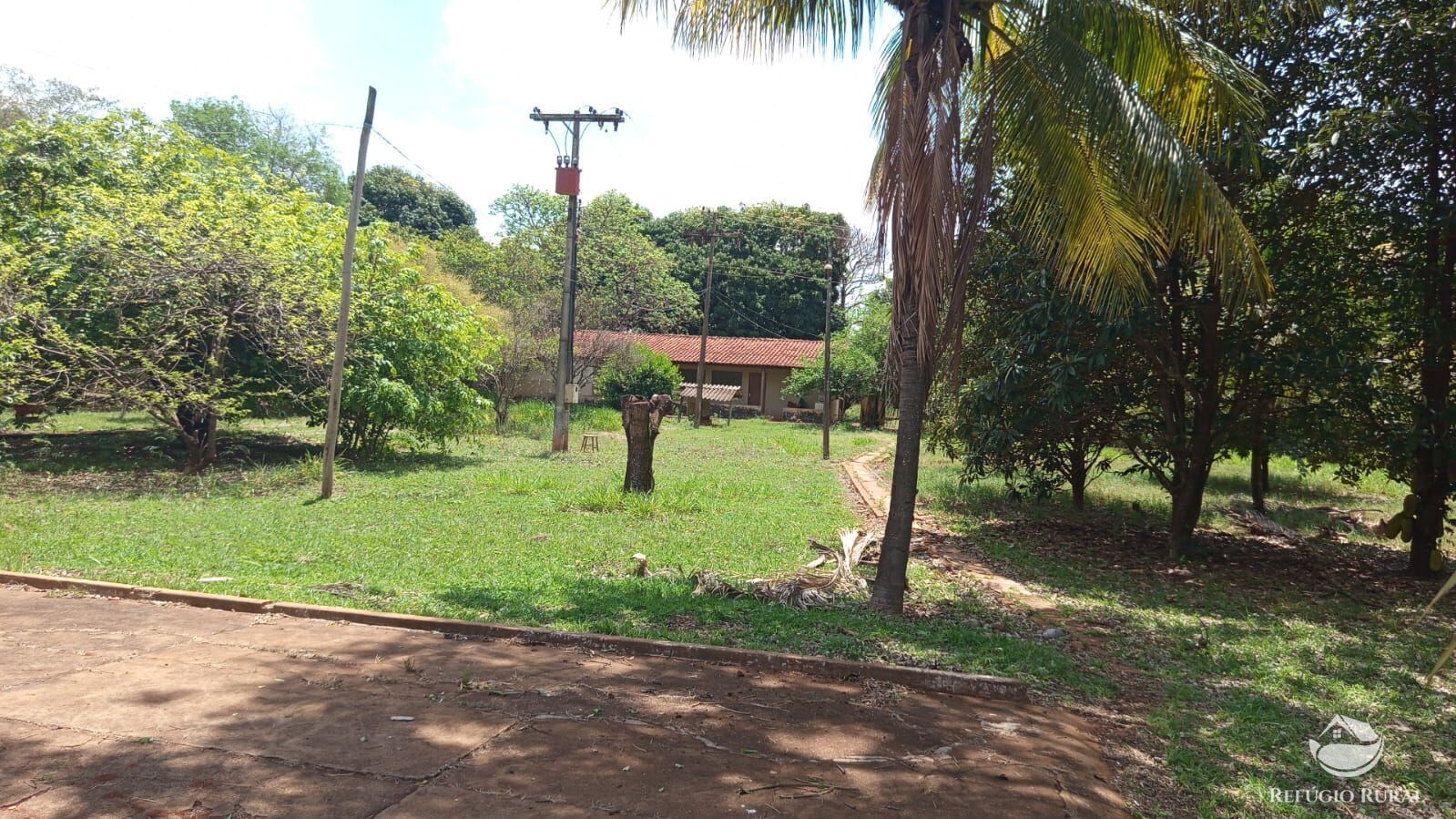 Chácara, 7 quartos, 2 hectares - Foto 16