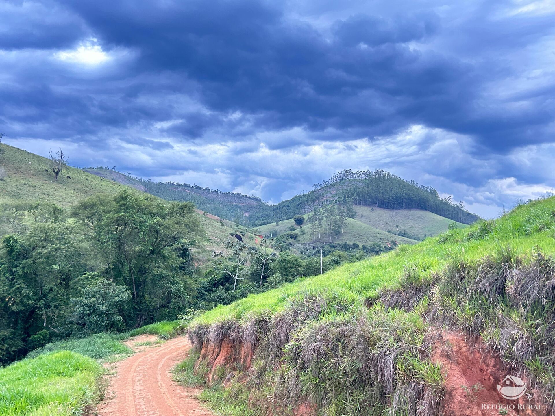 Terreno à venda, 20000m² - Foto 17