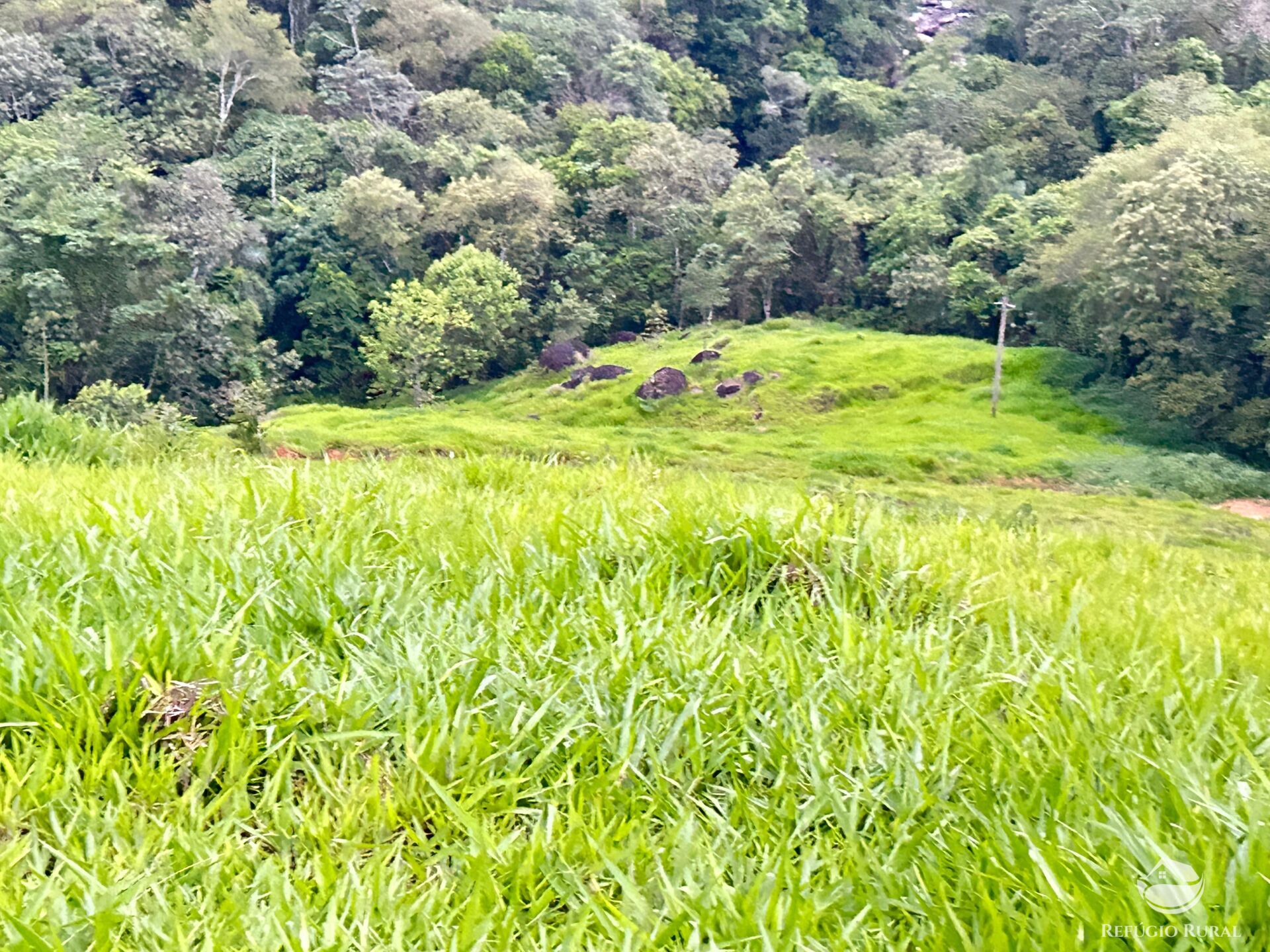 Terreno à venda, 20000m² - Foto 12