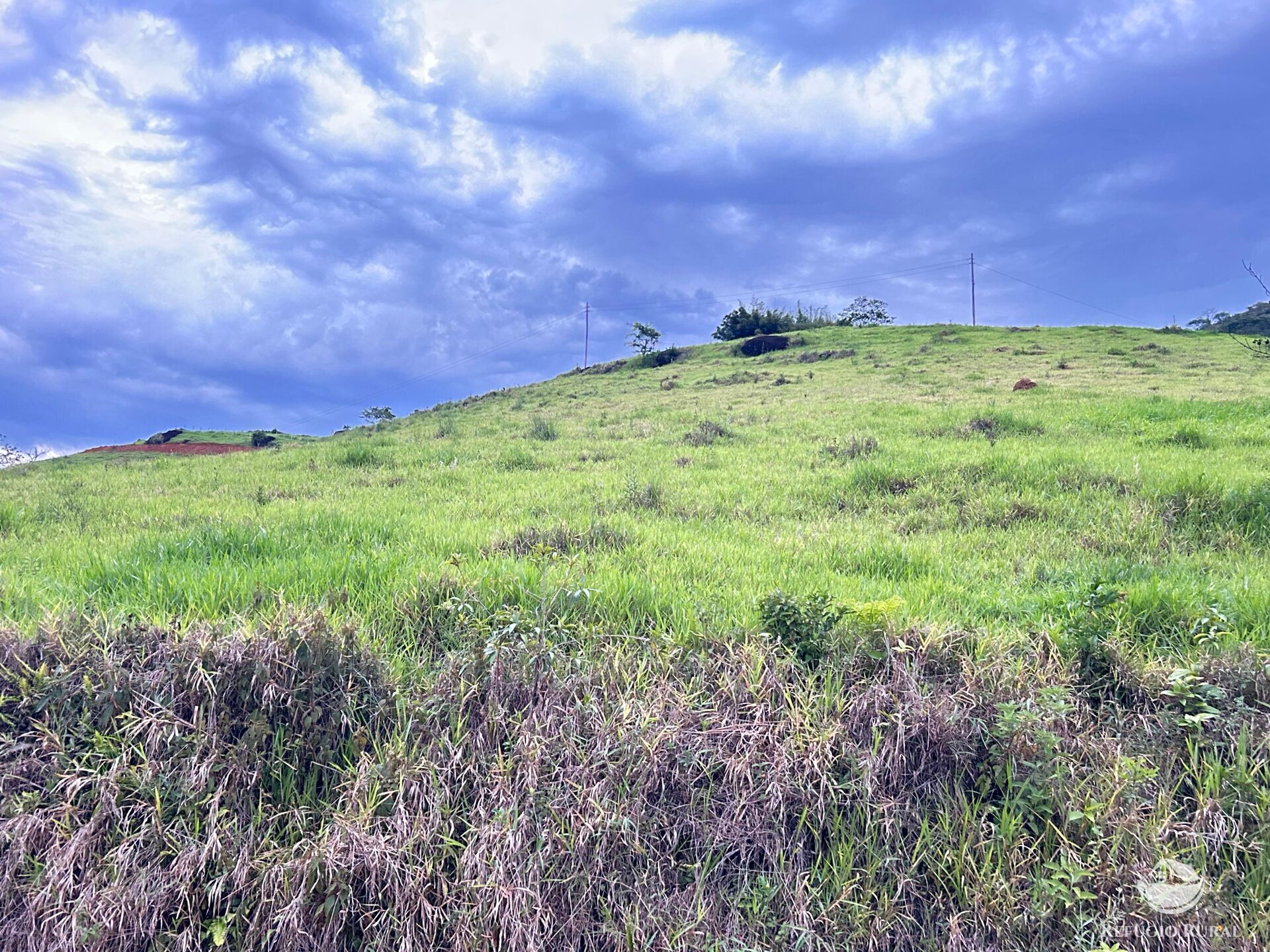 Terreno à venda, 20000m² - Foto 16