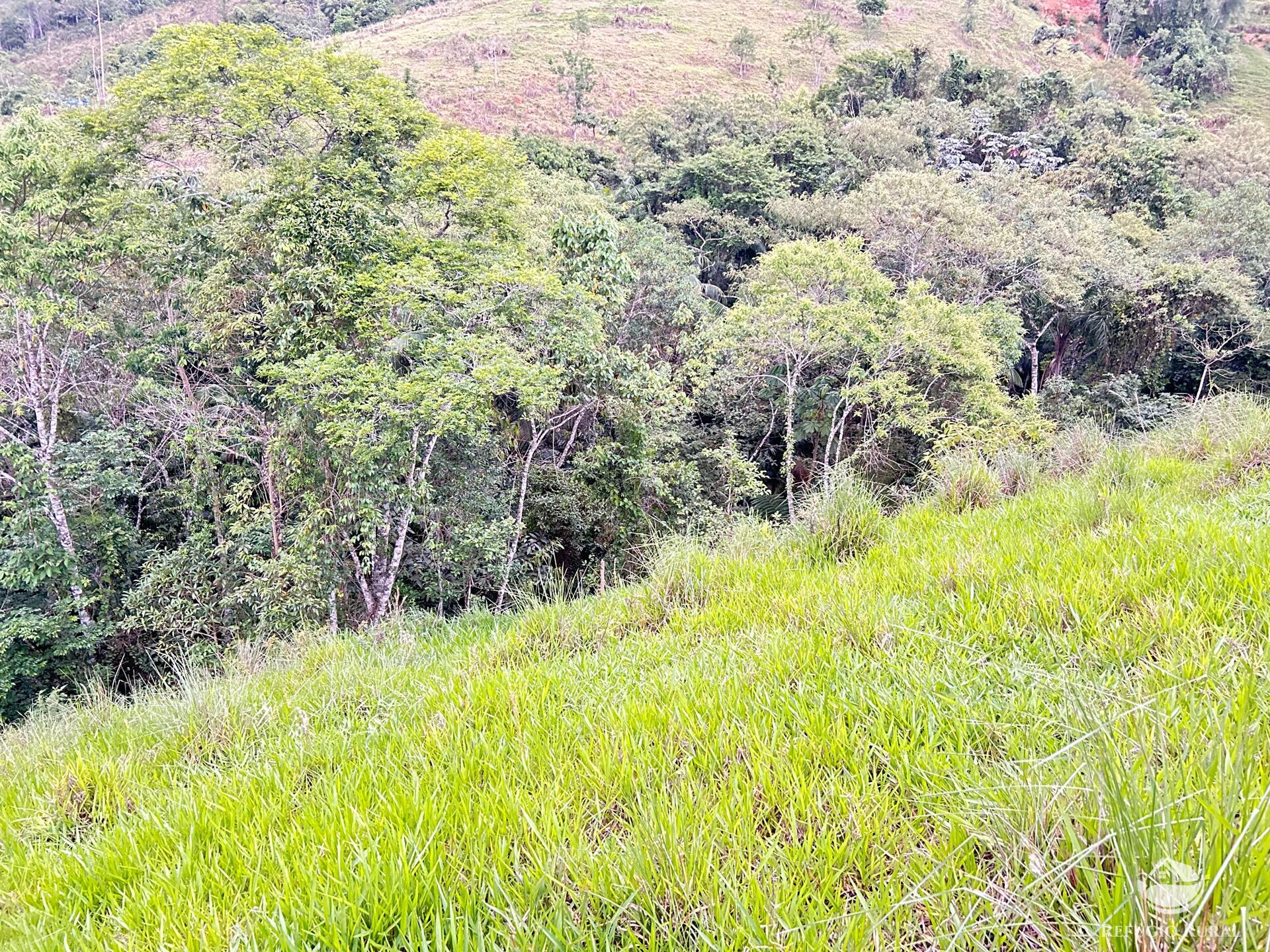 Terreno à venda, 20000m² - Foto 6