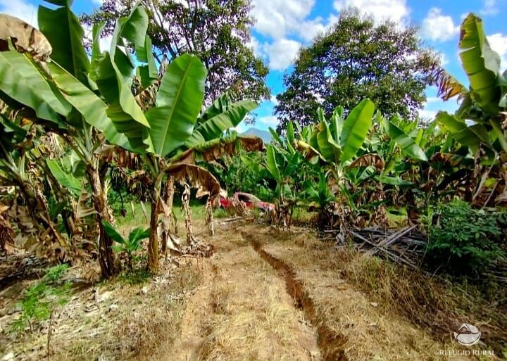 Fazenda à venda com 2 quartos, 1016400m² - Foto 16