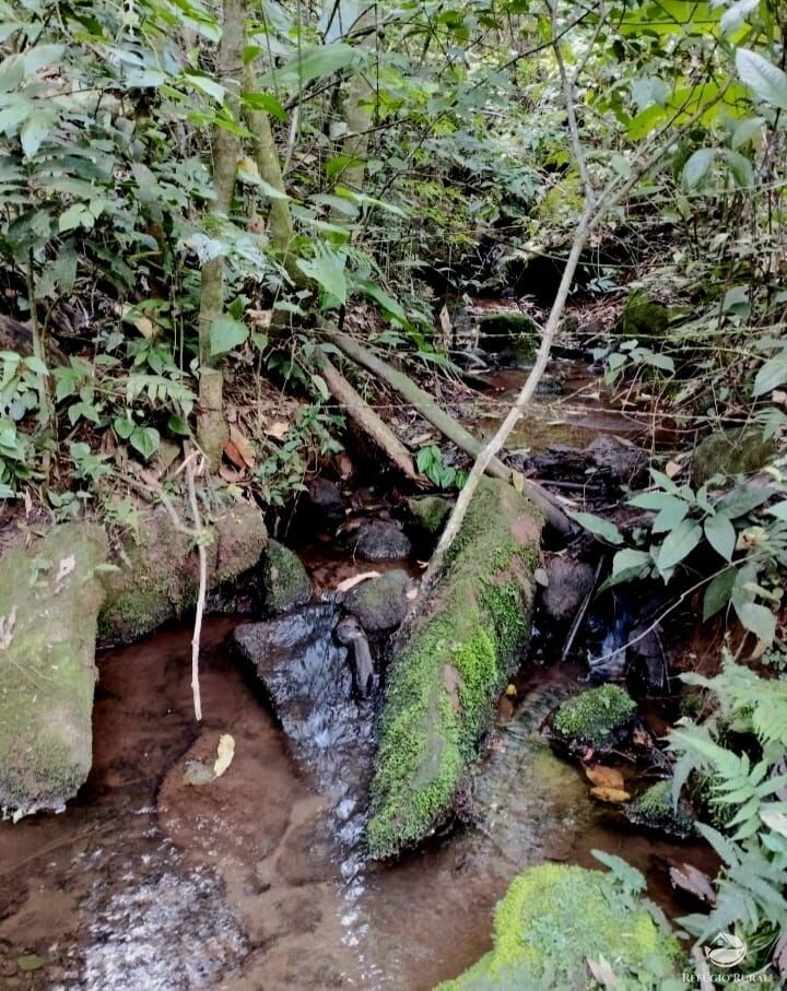 Fazenda à venda com 2 quartos, 1016400m² - Foto 14