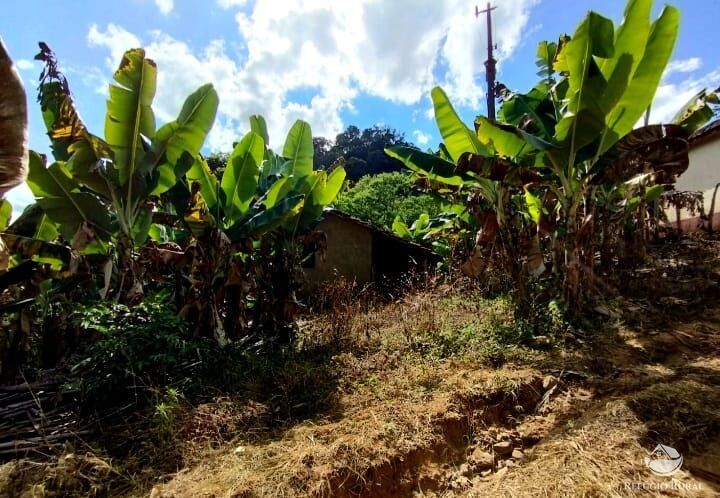 Fazenda à venda com 2 quartos, 1016400m² - Foto 18